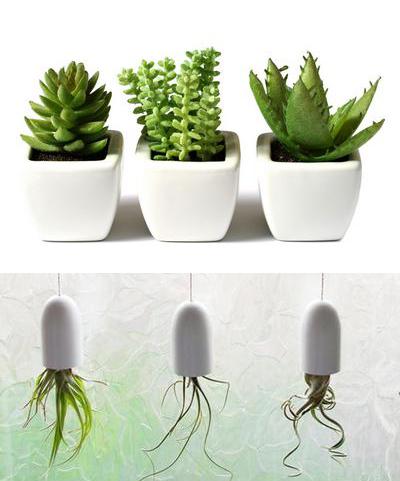 室內(nèi)擺放植物，起到綠色節(jié)能降耗