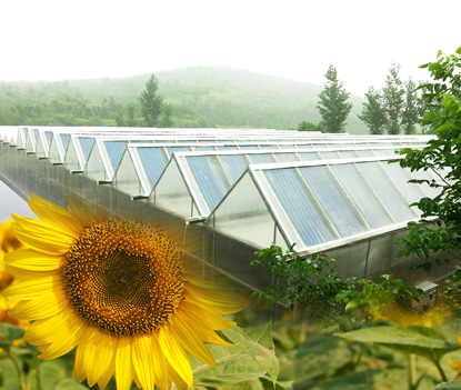 新型太陽能建筑很“聰明”，節(jié)電節(jié)水不費力